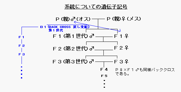 オス メス 記号 男女マークはどっちがどっち 由来は の覚え方は